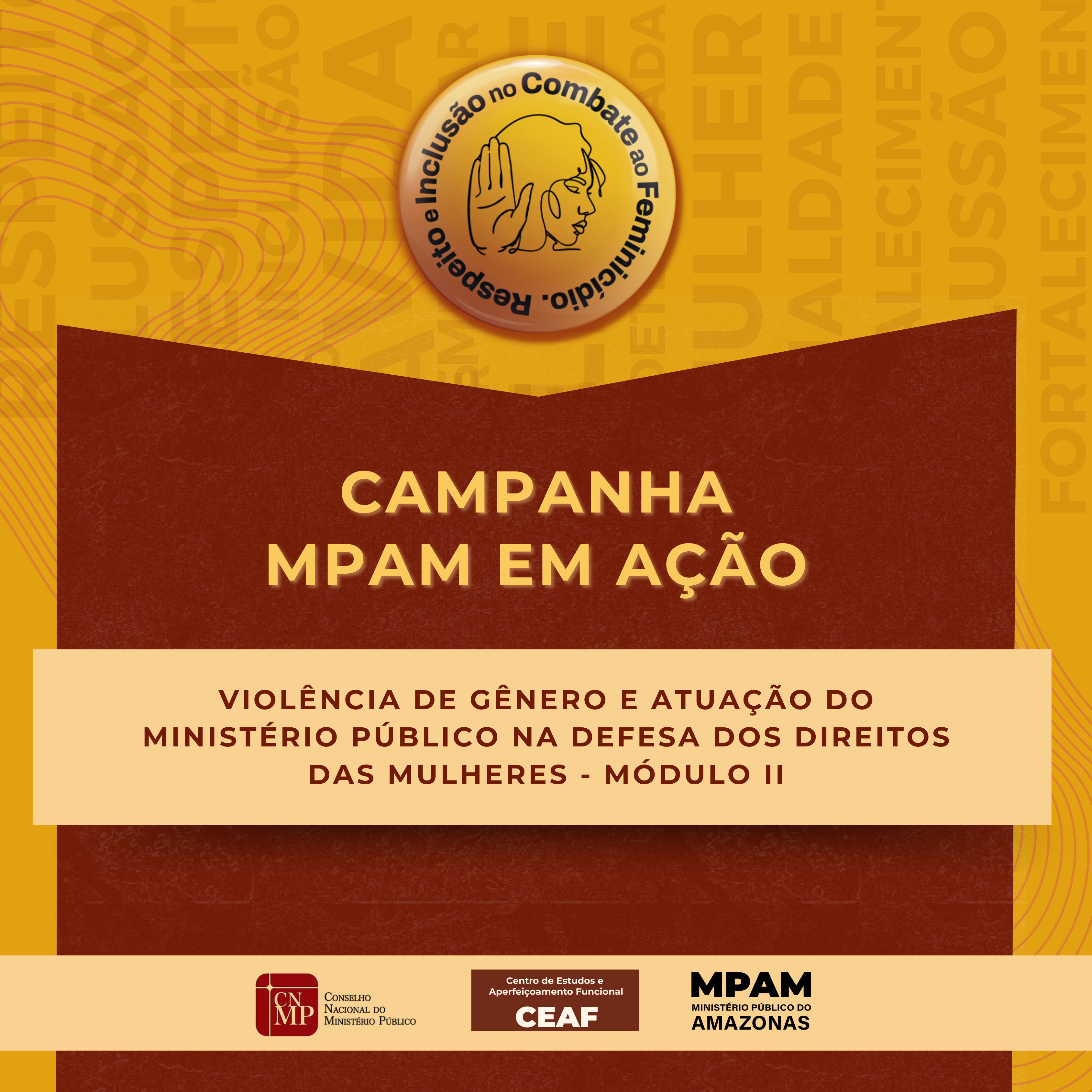 Violência de Gênero e Atuação do Ministério Público na Defesa dos Direitos das Mulheres (Módulo II)